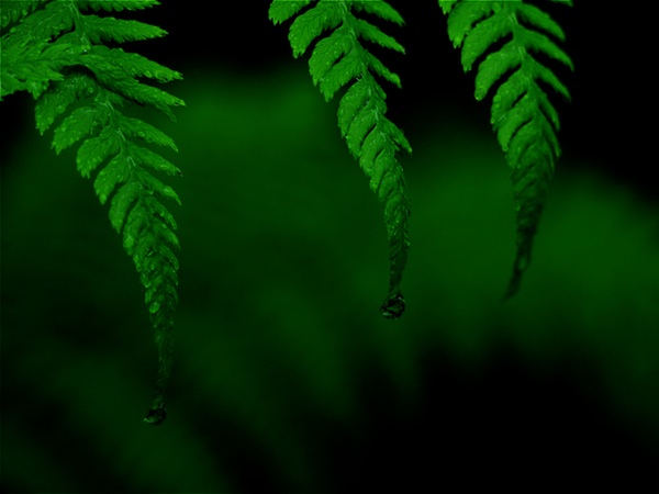 AHR0cHM6Ly9zb3VyY2UudW5zcGxhc2guY29tL09rSlZXU3VoZGljLzYwMHg0NTA 3D Imhwpb Im71egtdtp1xz8x