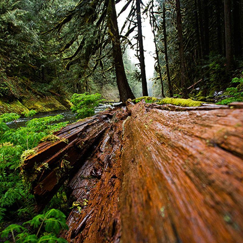 Home Tmp Photography 3 Imhwpb U1cr11i38xqnisr